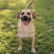 FRANKIE (m)